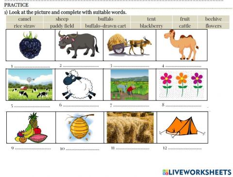 E 8 - Practice - Unit 2 - Bt 1 page 8