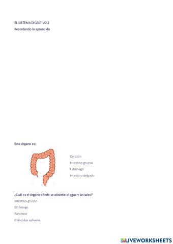 Sistema Digestivo 2