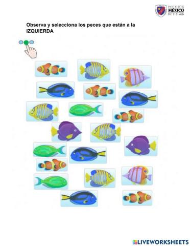 Izquierda derecha-Lateralidad