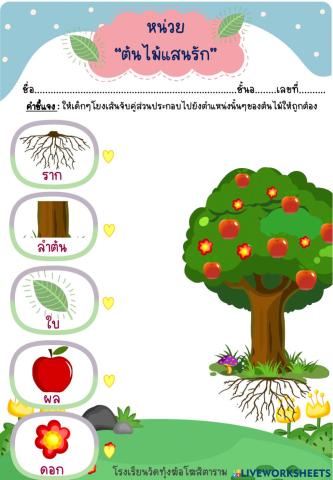 โยงเส้นจับคู่ส่วนประกอบของต้นไม้