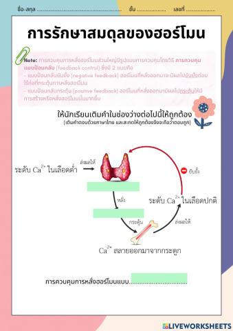 สมดุลของฮอร์โมน 6-6