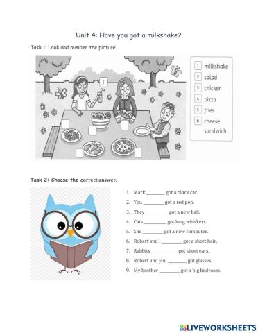 Have you got a milkshake?