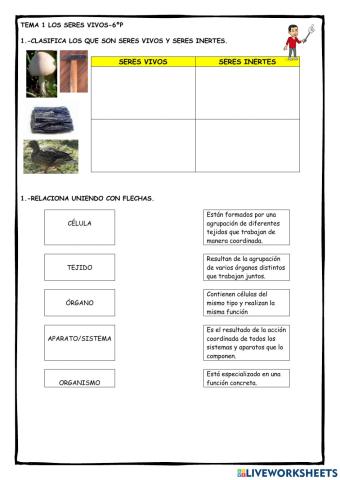 Ficha 1: Los seres vivos