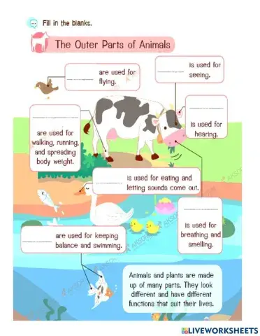 Outer Parts of Animals and Plants
