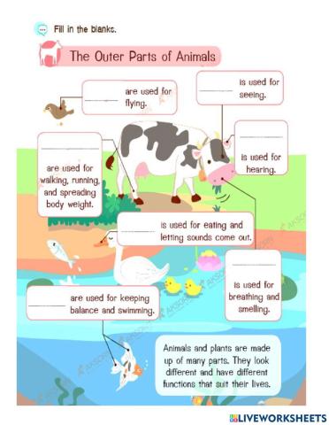 Outer Parts of Animals and Plants
