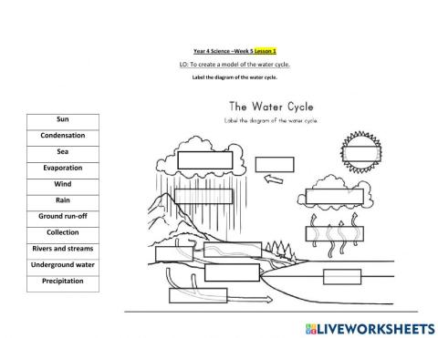 Science Week 5 Lesson 1
