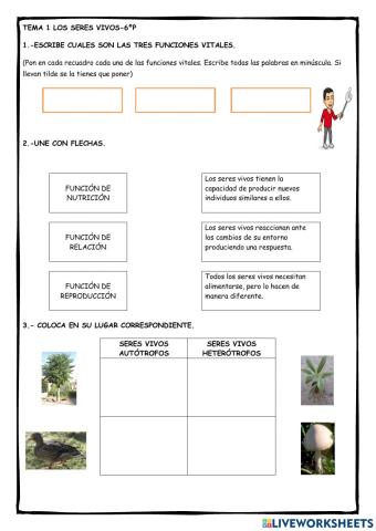 Ficha 2: Los Seres Vivos