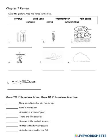 Ch 7 Review Sheet
