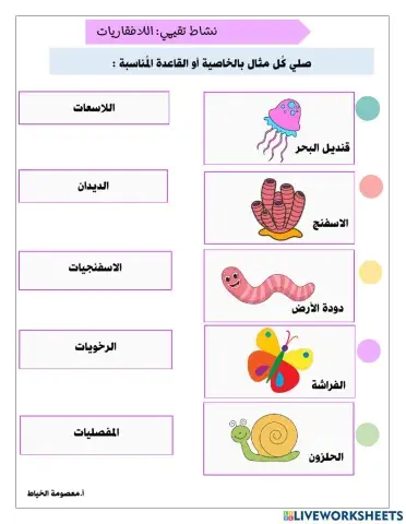 اللافقاريات