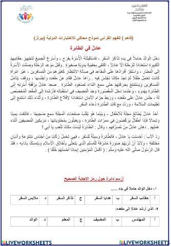 عادل في الطائرة