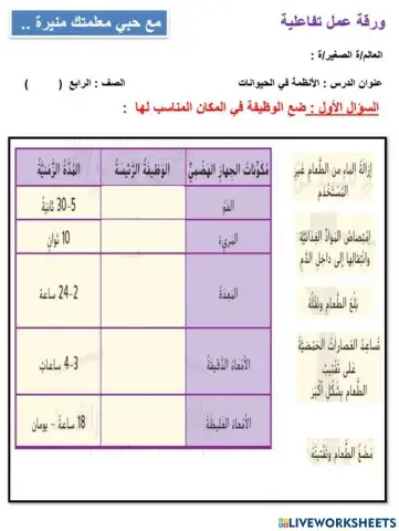 الجهاز الهضمي