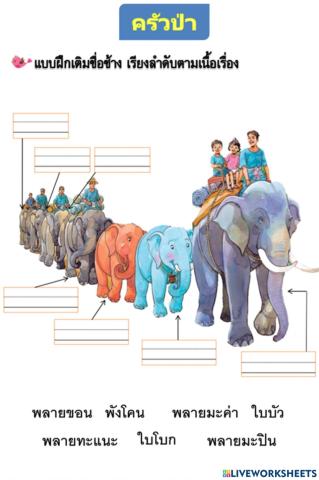 ครัวป่า 7