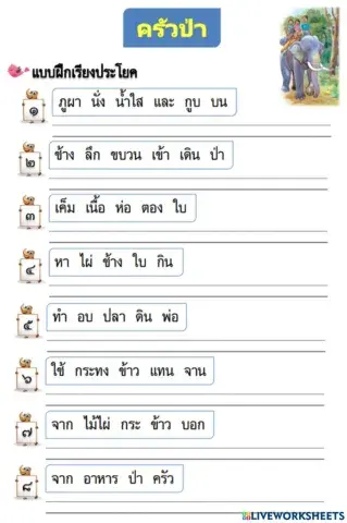 ครัวป่า 14