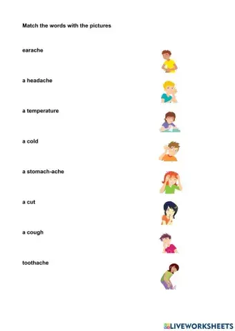 Match the words with the pictures