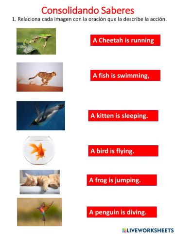 Acciones en presente continuo