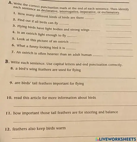 Four types of sentences