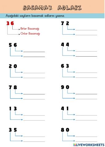 Basamakların Adlarını Yazalım