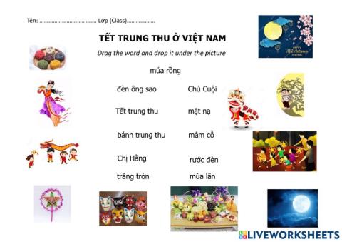 Vocabulary about Moon Festival