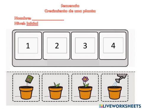 Plantas - Secuencia de crecimiento y partes
