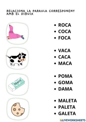 Relaciona amb la paraula correcta