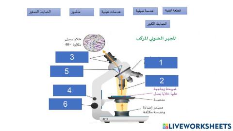 المجهر الضوئي