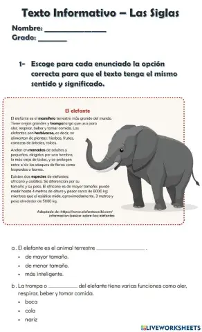 Texto Informativo - Siglas