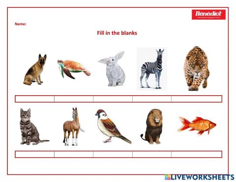 Kids 1 - Unit 6 Vocabulary