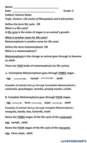 Vectors- Life Cycles of Mosquitoes and Cockroaches