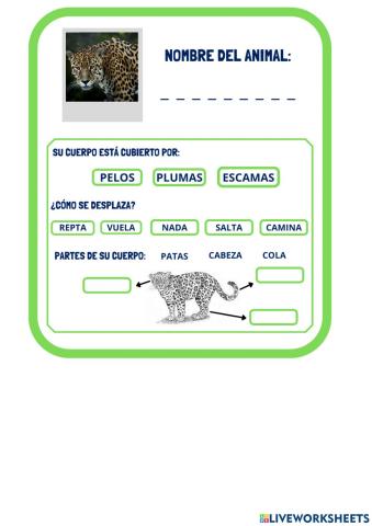 Animales de la selva ficha 1