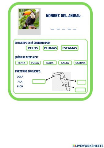 Animales de la selva ficha 2