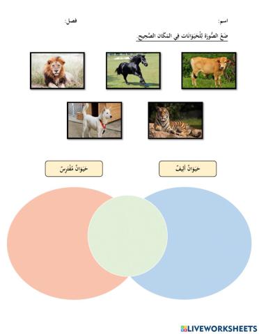 Latihan Tutorial BA M11