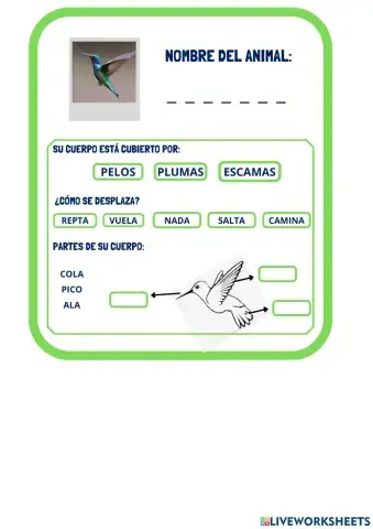 Animales de la selva ficha 5