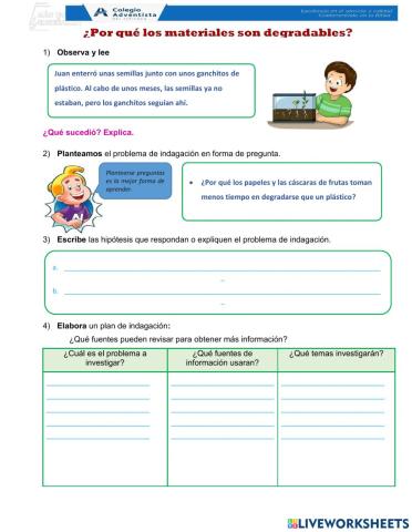 Degradables y no degradables