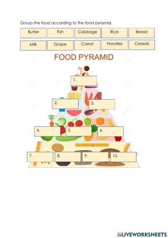 Food pyramid