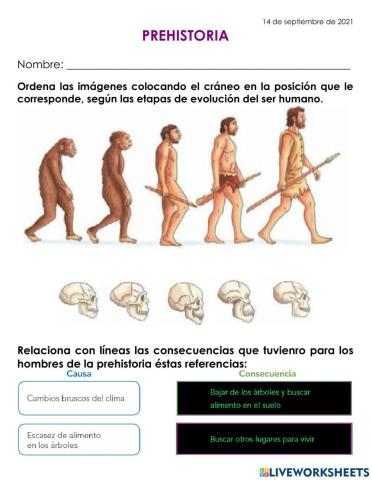 Actividades de la prehistoria