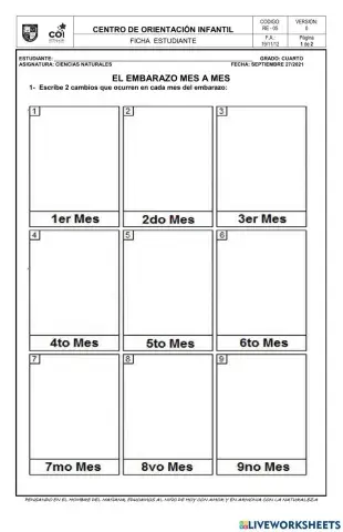 El embarazo mes a mes