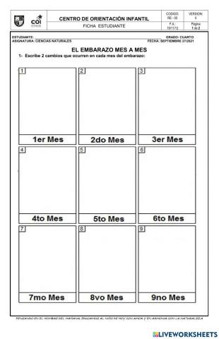 El embarazo mes a mes