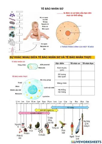 Sinh học tế bào (tiết 1)