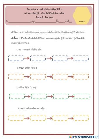 โซ่อาหาร