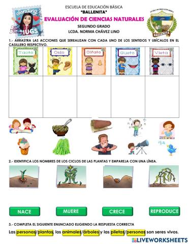Evaluación de ciencias naturales