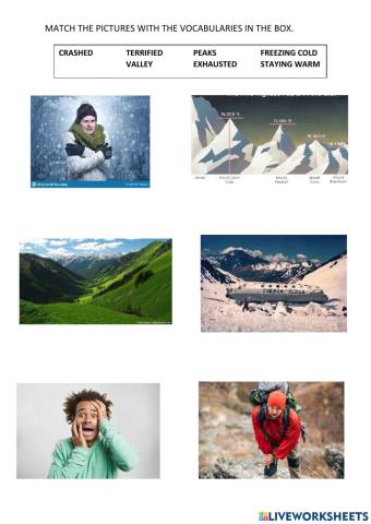 Close up unit 7 vocabulary - reading