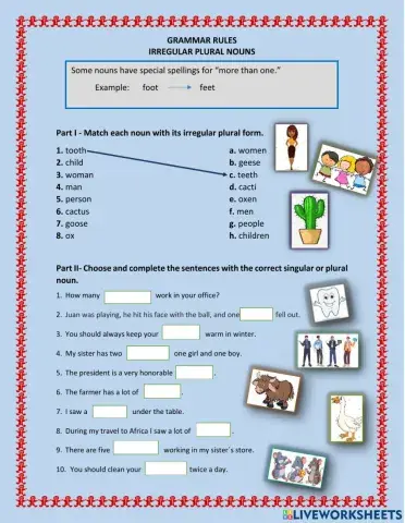 Irregular Plural Nouns Worksheet