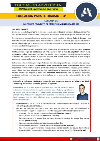 Mi primer proyecto de emprendimiento 11