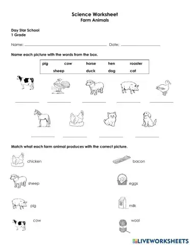 Farm Animals and Animals Needs