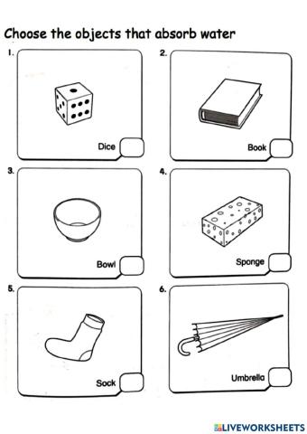 Water Absorbent Objects, Non-Water Absorbent Objects