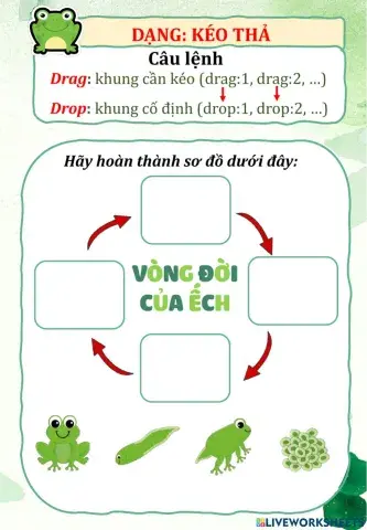 Thử dạng bài tập