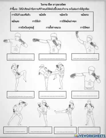 กีฬามวยไทย