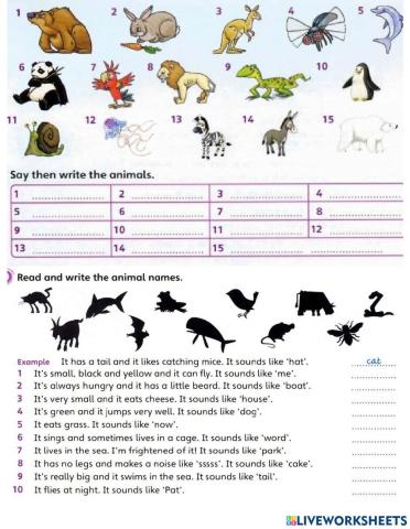 Mover-U2-Animals-Vocab