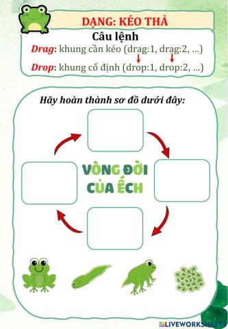 Thử dạng bài tập