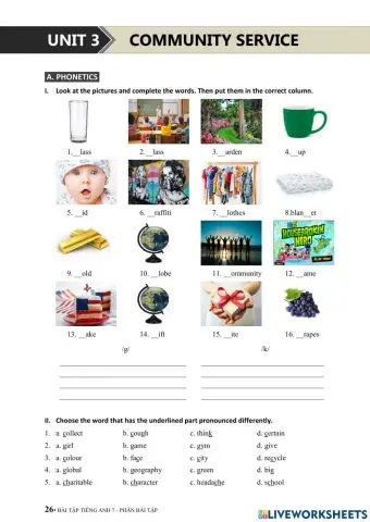 UNIT 3: COMMUNITY SERVICE